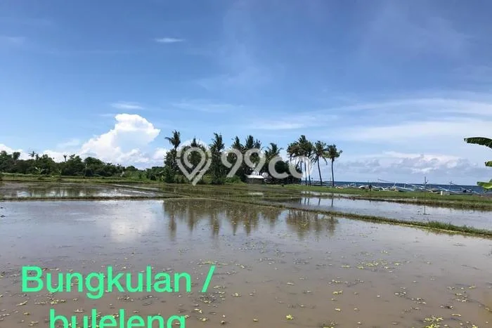 Tanah Dijual Area Strategis di Bungkulan Buleleng 25000m2 Tanah Dijual Area Strategis di Bungkulan Buleleng 25000m2