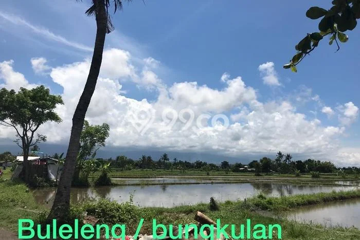 Tanah Dijual Area Strategis di Bungkulan Buleleng 25000m2 Tanah Dijual Area Strategis di Bungkulan Buleleng 25000m2