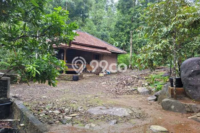 Kavling Tanah di Pandeglang Dijual Luas 2549m2 Legalitas SHM Kavling Tanah di Pandeglang Dijual Luas 2549m2 Legalitas SHM