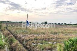 Untuk Dijual Tanah di Pantai Labu Deli Serdang Luas 40700m2 SHM Untuk Dijual Tanah di Pantai Labu Deli Serdang Luas 40700m2 SHM