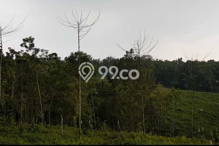 Dijual Tanah di Cipanas Lebak Luas 26000m2 SHM Dijual Tanah di Cipanas Lebak Luas 26000m2 SHM