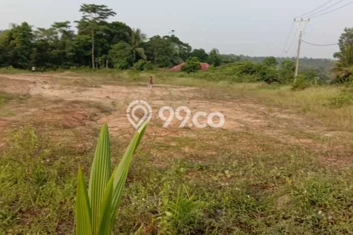 Tanah Dijual Lokasi Maja Lebak SHM Tanah Dijual Lokasi Maja Lebak SHM