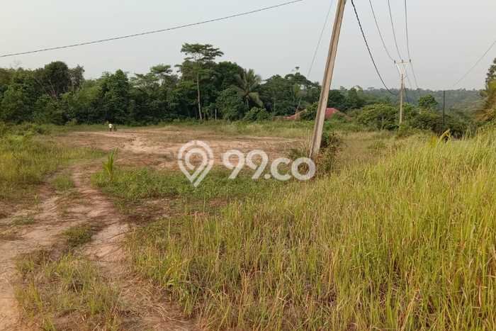 Tanah Dijual Lokasi Maja Lebak SHM Tanah Dijual Lokasi Maja Lebak SHM
