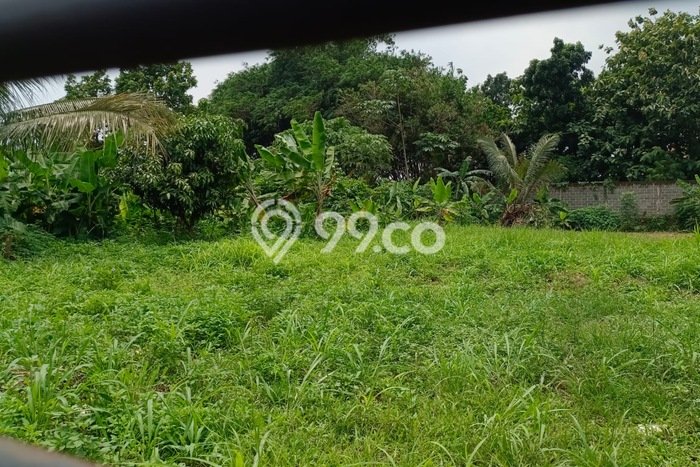 Tanah Dijual Lokasi Cibinong Bogor SHM Tanah Dijual Lokasi Cibinong Bogor SHM