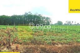 Tanah Strategis Dijual di Tanjung Bintang Lampung Selatan 34880m2 Tanah Strategis Dijual di Tanjung Bintang Lampung Selatan 34880m2