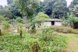 Lahan Investasi Lokasi Pamulang Tangerang Selatan - Lahan Investasi Lokasi Pamulang Tangerang Selatan -