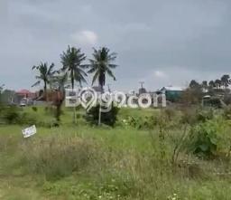 Tanah Sangat Strategis Lingkungan Villa dan Resto di Munggu Mengwi Tanah Sangat Strategis Lingkungan Villa dan Resto di Munggu Mengwi
