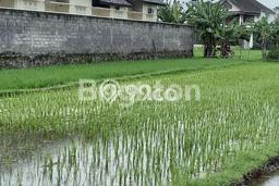 HARGA TERBAIK! Tanah Kawasan Depok, Luas 529m2m², Jalur Strategis, Area Berkembang HARGA TERBAIK! Tanah Kawasan Depok, Luas 529m2m², Jalur Strategis, Area Berkembang