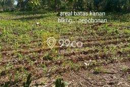 Lahan untuk Dijual di Katibung Lampung Selatan Luas 15000m2 Lahan untuk Dijual di Katibung Lampung Selatan Luas 15000m2