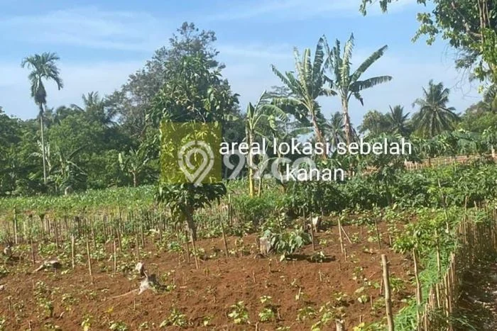 Lahan untuk Dijual di Katibung Lampung Selatan Luas 15000m2 Lahan untuk Dijual di Katibung Lampung Selatan Luas 15000m2