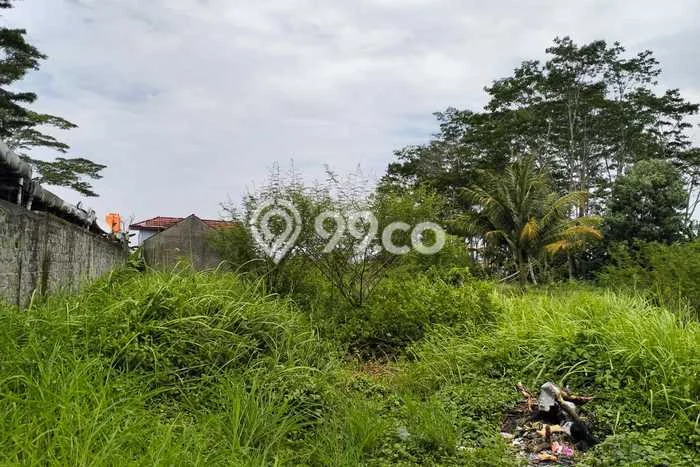 Kavling Tanah di Majenang Dijual Luas 700m2 Legalitas SHM Kavling Tanah di Majenang Dijual Luas 700m2 Legalitas SHM