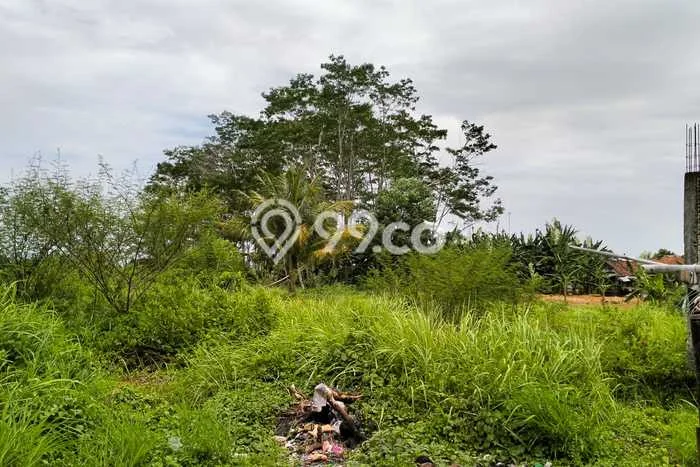 Kavling Tanah di Majenang Dijual Luas 700m2 Legalitas SHM Kavling Tanah di Majenang Dijual Luas 700m2 Legalitas SHM