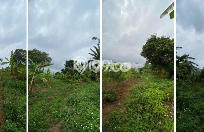 Kavling Tanah di Banyumanik Dijual Luas 7449m2 Legalitas SHM Kavling Tanah di Banyumanik Dijual Luas 7449m2 Legalitas SHM