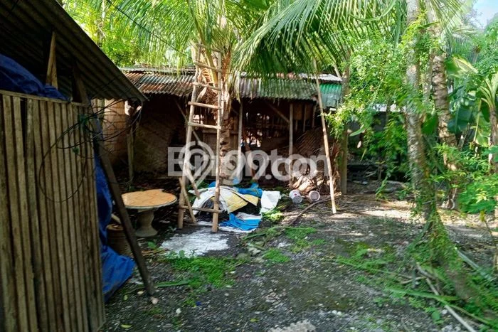 Tanah Produktif 8 Are Cocok Untuk Usaha Villa atau Kosan are Jimbaran bawah Tanah Produktif 8 Are Cocok Untuk Usaha Villa atau Kosan are Jimbaran bawah