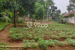 Tanah Dijual Lokasi Cibungbulang Bogor - Tanah Dijual Lokasi Cibungbulang Bogor -