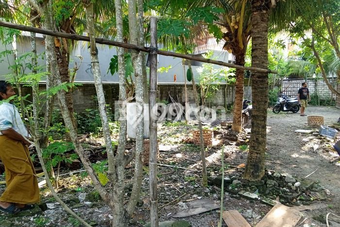 Tanah Produktif 8 Are Cocok Untuk Usaha Villa atau Kosan are Jimbaran bawah Tanah Produktif 8 Are Cocok Untuk Usaha Villa atau Kosan are Jimbaran bawah