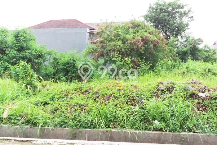Tanah Kosong Dijual di Cirebon dengan Area 493m2 Tanah Kosong Dijual di Cirebon dengan Area 493m2