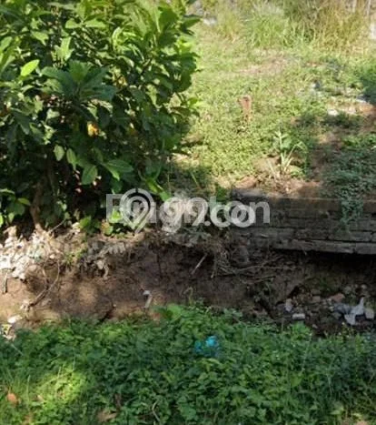 Lahan Strategis di Penebel Dijual dengan Luas 185m2 Lahan Strategis di Penebel Dijual dengan Luas 185m2