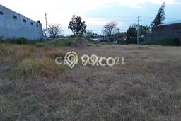 Kavling Tanah Dijual di Purwodadi Purwodadi Spesifikasi 11640m2 Kavling Tanah Dijual di Purwodadi Purwodadi Spesifikasi 11640m2