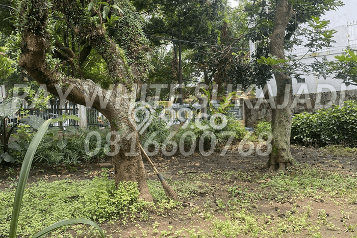 Kavling Tanah Dijual di Cimahi Tengah Cimahi Spesifikasi 1146m2 Kavling Tanah Dijual di Cimahi Tengah Cimahi Spesifikasi 1146m2