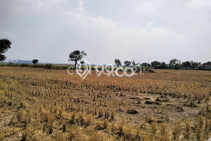 Tanah di Kertajati, Majalengka Luas 10334m2 Dijual Segera Tanah di Kertajati, Majalengka Luas 10334m2 Dijual Segera