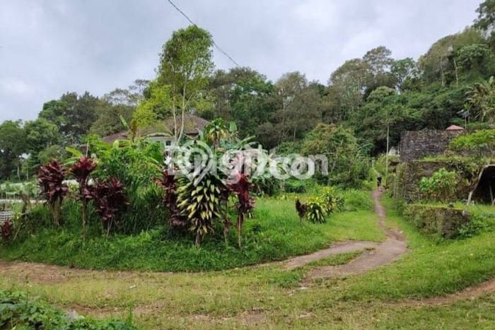 Tanah Kosong Dijual di Tabanan dengan Area 420m2 Tanah Kosong Dijual di Tabanan dengan Area 420m2