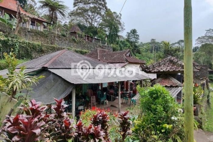 Tanah Kosong Dijual di Tabanan dengan Area 420m2 Tanah Kosong Dijual di Tabanan dengan Area 420m2