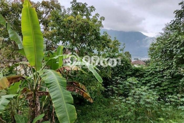 Tanah Kosong Dijual di Tabanan dengan Area 420m2 Tanah Kosong Dijual di Tabanan dengan Area 420m2
