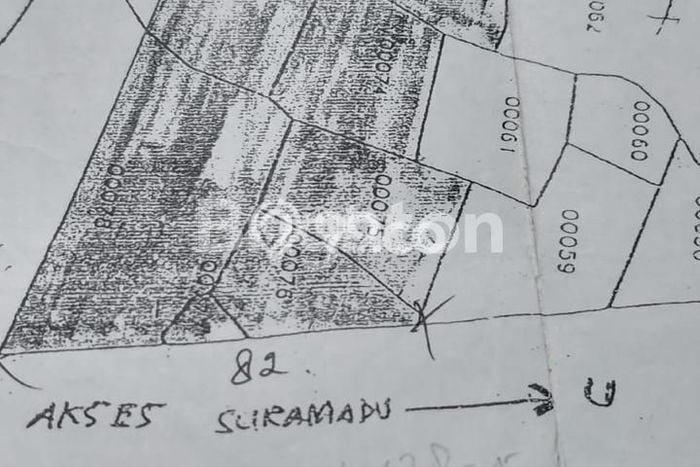 Tanah untuk Dijual di Burneh Bangkalan Luas 17825m2 Tanah untuk Dijual di Burneh Bangkalan Luas 17825m2