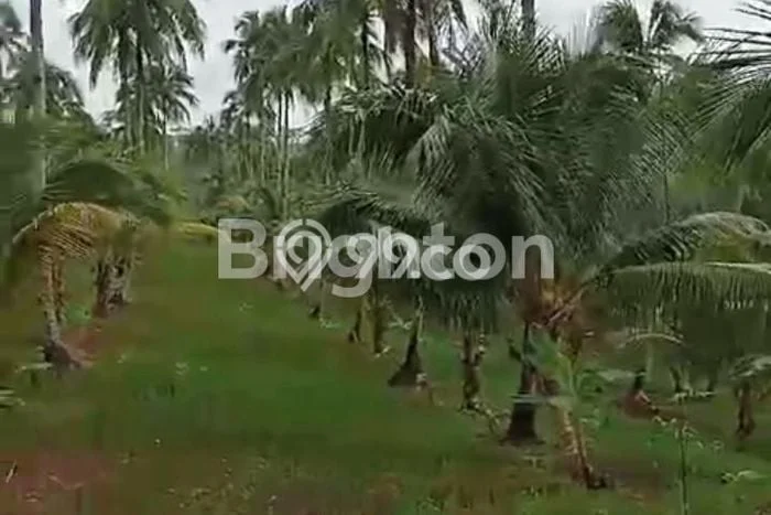Jual Tanah Lokasi Strategis di Agrabinta, Luas 1.5e+06m2m², Akses Agrabinta, Cianjur, Cianjur Jual Tanah Lokasi Strategis di Agrabinta, Luas 1.5e+06m2m², Akses Agrabinta, Cianjur, Cianjur