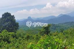 Lahan Strategis di Cariu Dijual dengan Luas 12000m2 Lahan Strategis di Cariu Dijual dengan Luas 12000m2