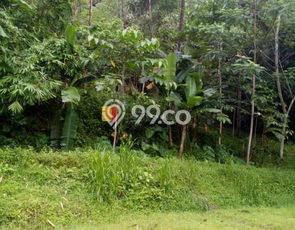 Tanah di Gunung Sari, Luas 10343m², Akses Strategis Tanah di Gunung Sari, Luas 10343m², Akses Strategis