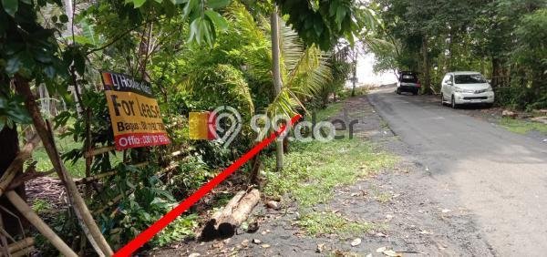 Kavling Tanah Lokasi Strategis di Pekutatan, Jembrana Disewakan 4650m2 Kavling Tanah Lokasi Strategis di Pekutatan, Jembrana Disewakan 4650m2