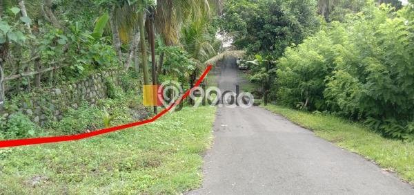 Kavling Tanah Lokasi Strategis di Pekutatan, Jembrana Disewakan 4650m2 Kavling Tanah Lokasi Strategis di Pekutatan, Jembrana Disewakan 4650m2