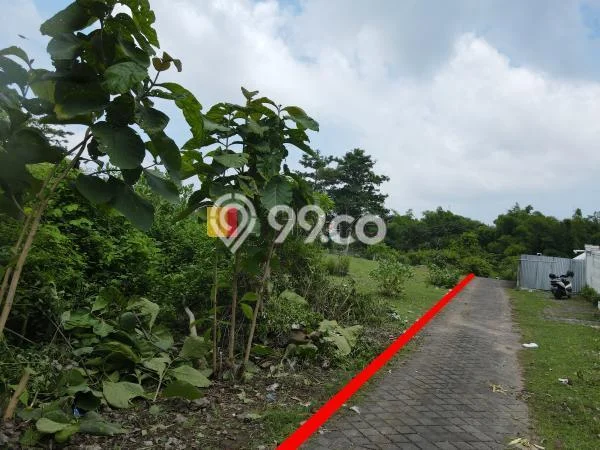 Tanah Disewakan Lokasi Badung Seluas 5000m2 Strategis dan Aman Tanah Disewakan Lokasi Badung Seluas 5000m2 Strategis dan Aman