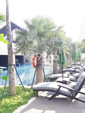 Apartemen Minimalis Modern 2 Kamar di Tanah Abang, Luas 150m2 Disewakan Apartemen Minimalis Modern 2 Kamar di Tanah Abang, Luas 150m2 Disewakan