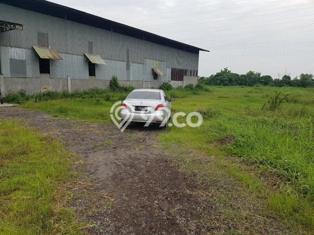 Unit Gudang Disewa Lokasi Buduran, Sidoarjo Spesifikasi Luas Bangunan 1600m2 Unit Gudang Disewa Lokasi Buduran, Sidoarjo Spesifikasi Luas Bangunan 1600m2