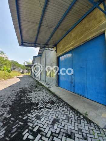 Disewakan Gudang di Kawasan Ramai Pudak Payung Luas 748m2 Disewakan Gudang di Kawasan Ramai Pudak Payung Luas 748m2