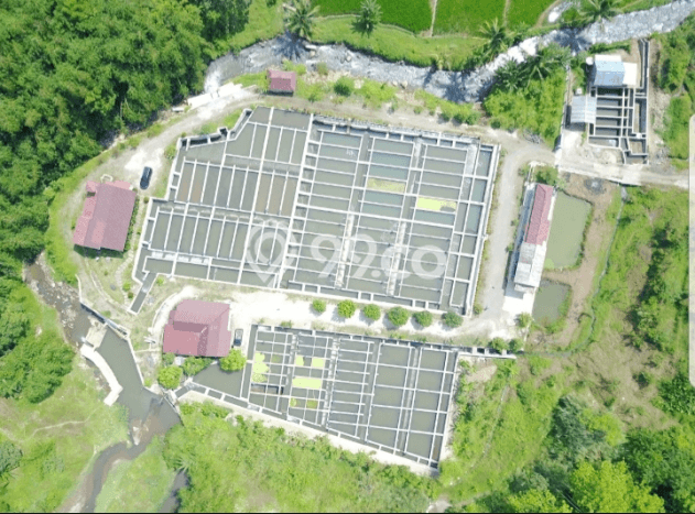 Komersial Paling Dicari LB 600m2 Dijual di Cijambe Komersial Paling Dicari LB 600m2 Dijual di Cijambe