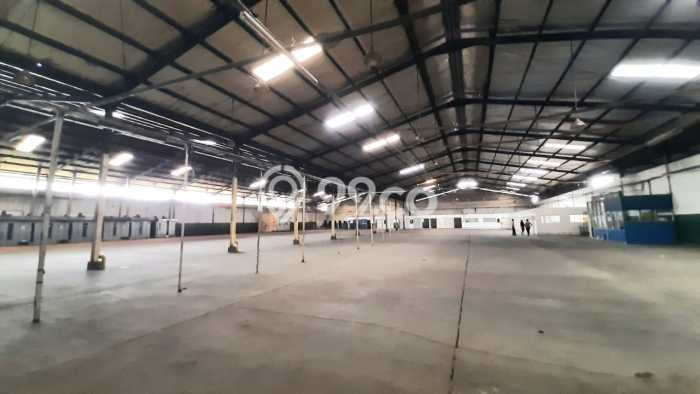 Gudang Disewakan Cepat di Rancaekek Bandung LB 5000m2 Gudang Disewakan Cepat di Rancaekek Bandung LB 5000m2