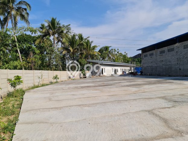 Lokasi Strategis! Dijual Gudang Bisnis di Ampel, Boyolali Kondisi Bagus Lokasi Strategis! Dijual Gudang Bisnis di Ampel, Boyolali Kondisi Bagus