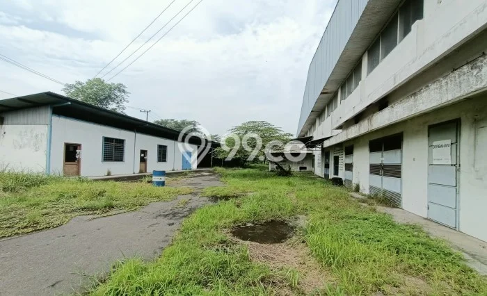 Pabrik Paling Dicari LB 23000m2 Dijual di Gempol Pabrik Paling Dicari LB 23000m2 Dijual di Gempol
