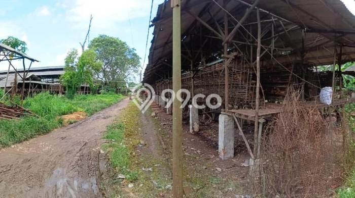 Komersial Dijual Lokasi Emas di Mauk Luas 5000m2 Komersial Dijual Lokasi Emas di Mauk Luas 5000m2