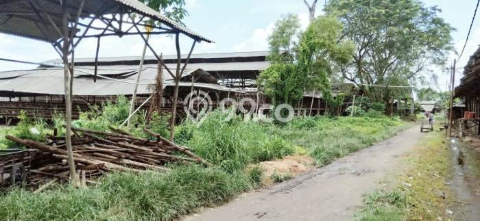 Komersial Dijual Lokasi Emas di Mauk Luas 5000m2 Komersial Dijual Lokasi Emas di Mauk Luas 5000m2
