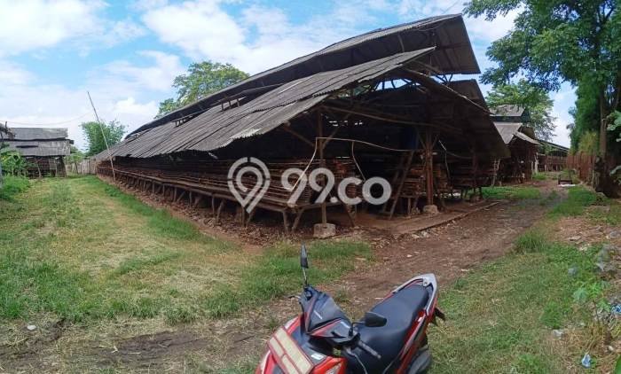 Komersial Dijual Lokasi Emas di Mauk Luas 5000m2 Komersial Dijual Lokasi Emas di Mauk Luas 5000m2