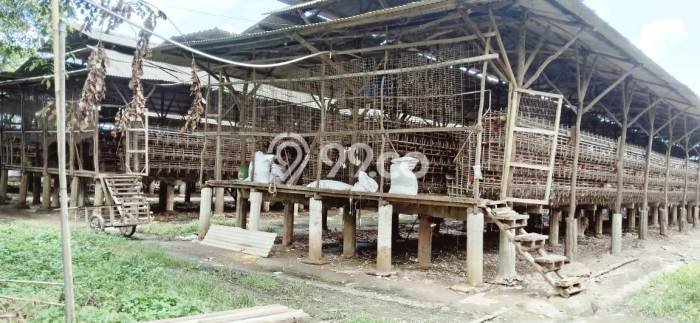 Komersial Dijual Lokasi Emas di Mauk Luas 5000m2 Komersial Dijual Lokasi Emas di Mauk Luas 5000m2