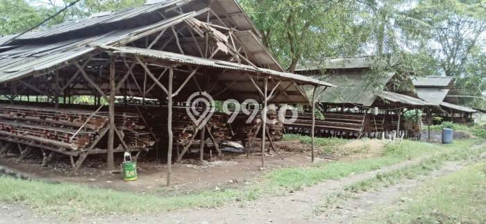 Komersial Dijual Lokasi Emas di Mauk Luas 5000m2 Komersial Dijual Lokasi Emas di Mauk Luas 5000m2