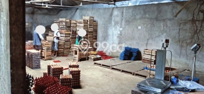 Komersial Dijual Lokasi Emas di Mauk Luas 5000m2 Komersial Dijual Lokasi Emas di Mauk Luas 5000m2
