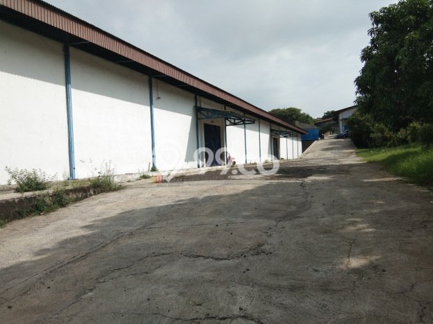 FOR RENT! Gudang di Tugurejo Cocok untuk Bisnis 1656m2 FOR RENT! Gudang di Tugurejo Cocok untuk Bisnis 1656m2