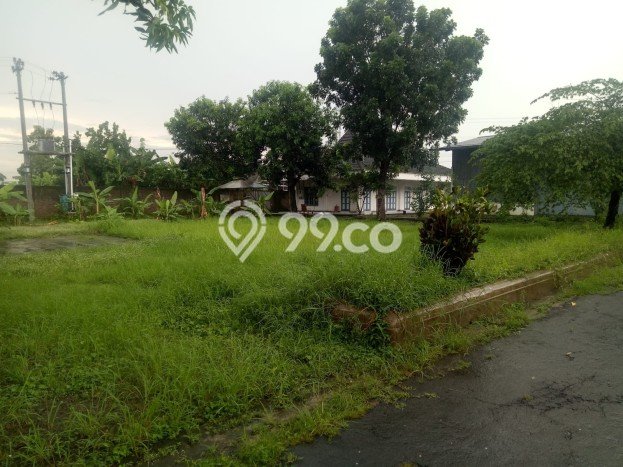 Gudang Kawasan Pedan, Luas 1800m², Kawasan Bisnis, Ramai Gudang Kawasan Pedan, Luas 1800m², Kawasan Bisnis, Ramai